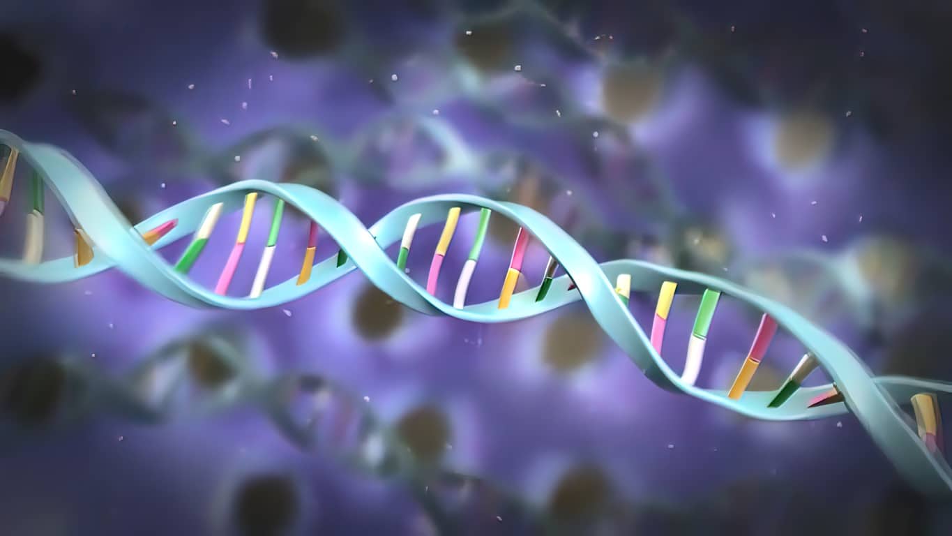Stem cell biology. DNA Methylation and Cellular Reprogramming 3D illustration