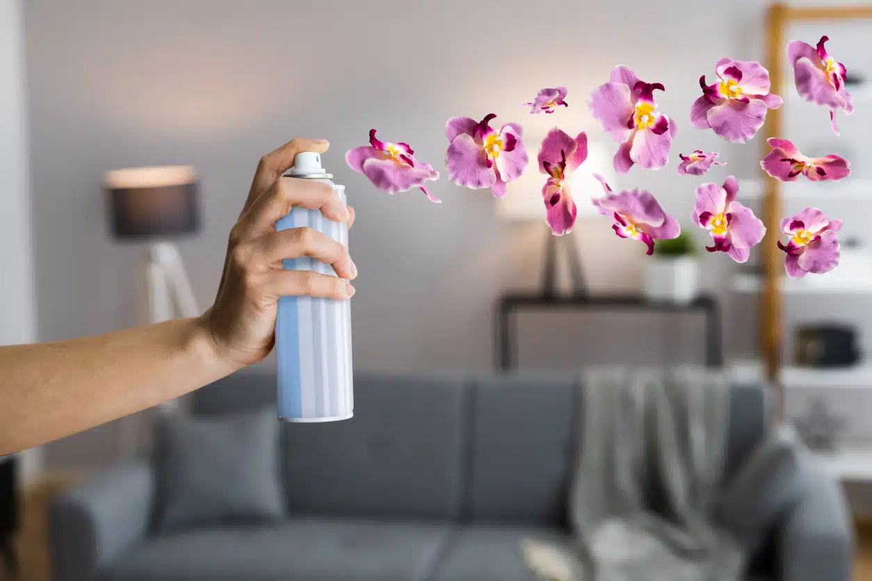 Odor eliminator, air freshener