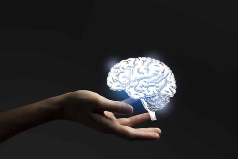 Neurologist, hand holding a brain, brain health