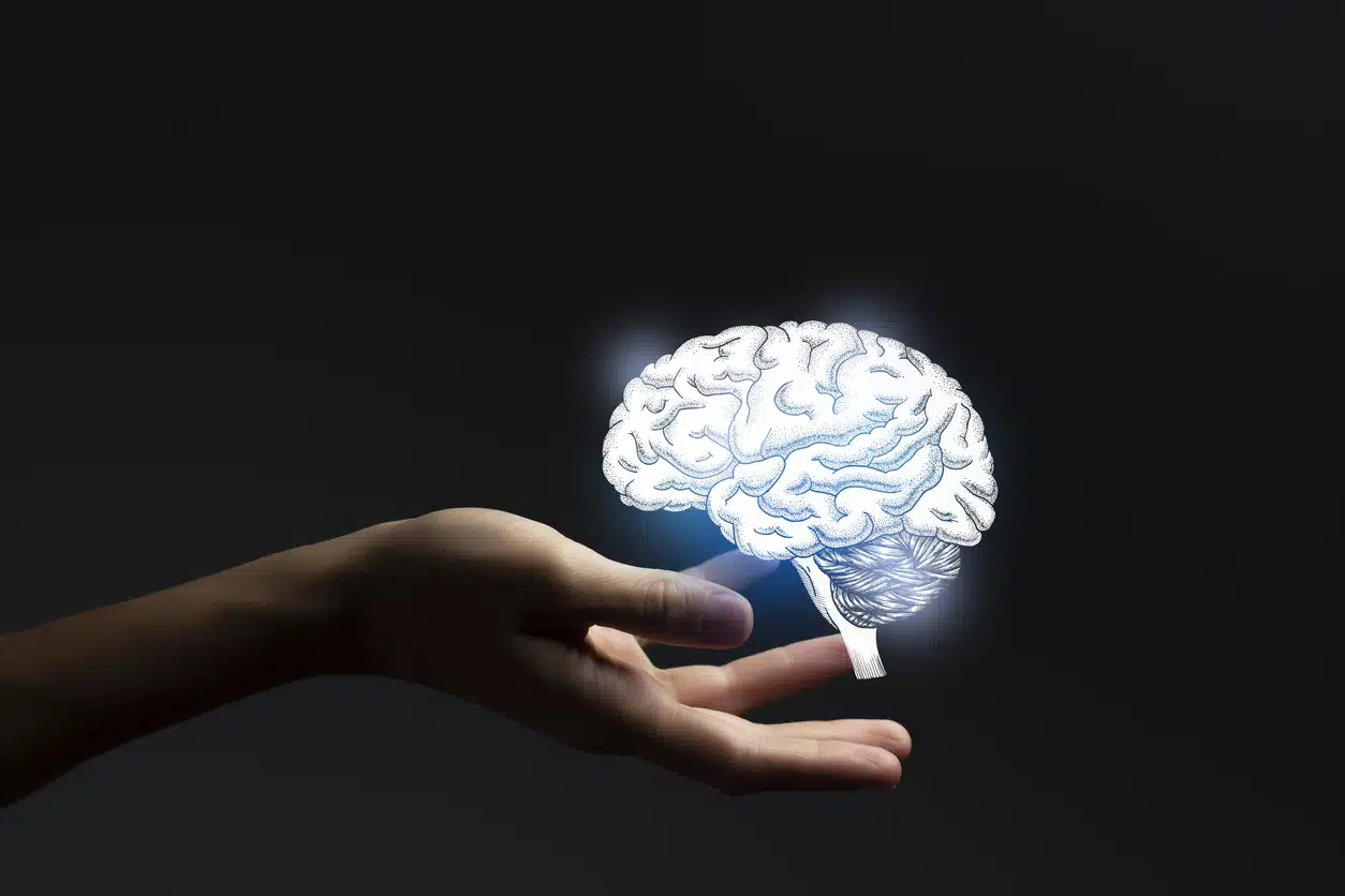 Neurologist, hand holding a brain, brain health