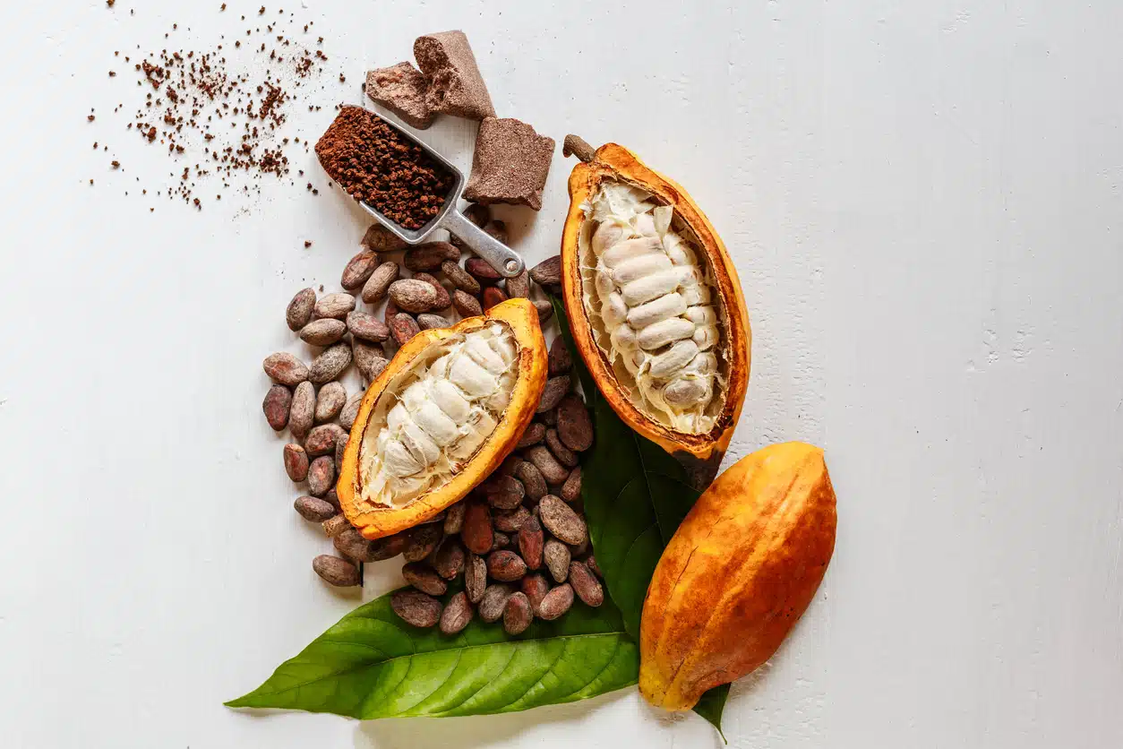 cacao pods