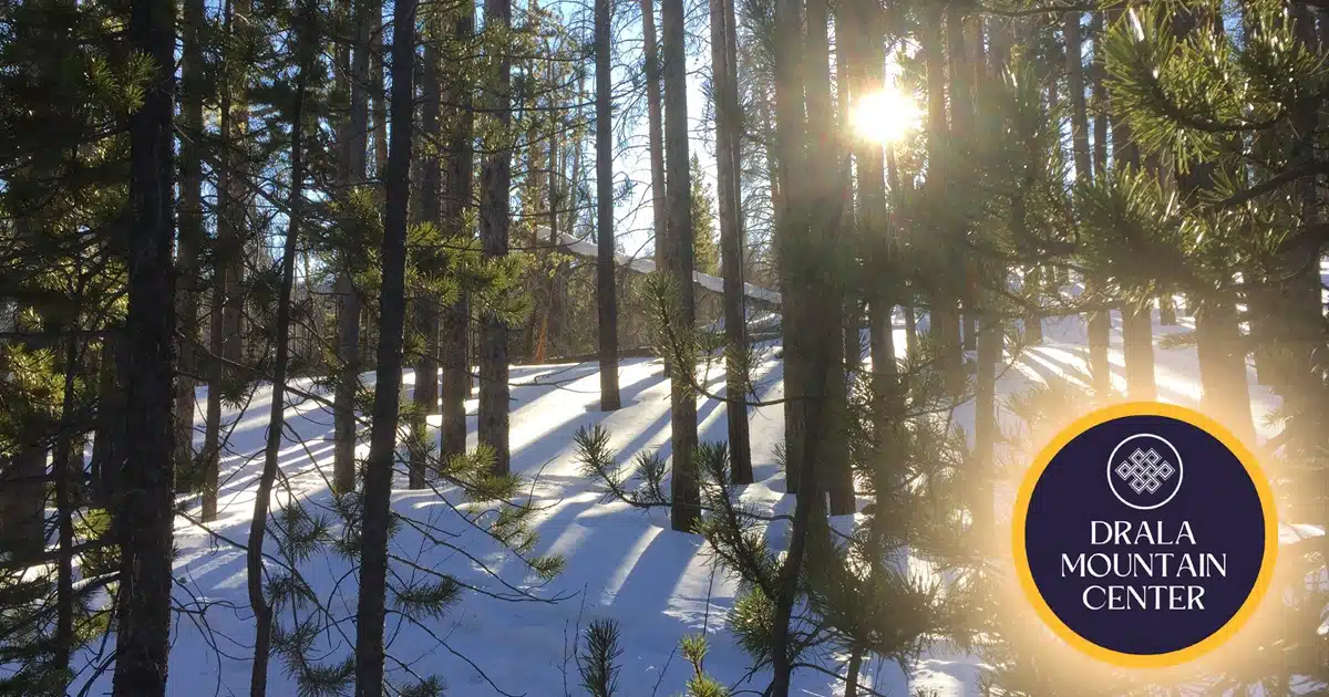 Drala Mountain Center
