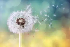 Secret to a happy life