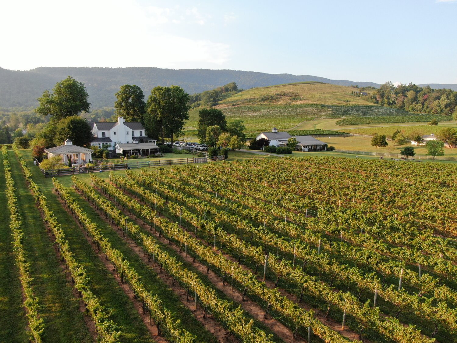Veritas-vineyard-winery