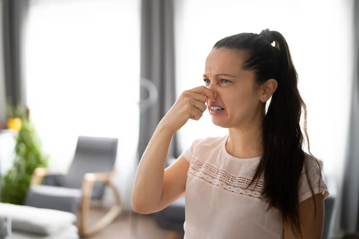 Bad smell, odor
