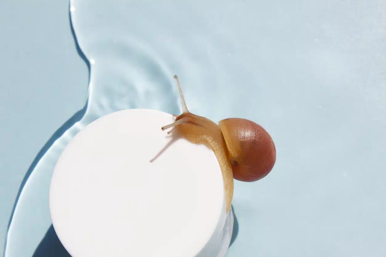 Snail on the jar of skin cream on water background. Beauty skin care, snail mucin based cosmetics. Beauty concept.