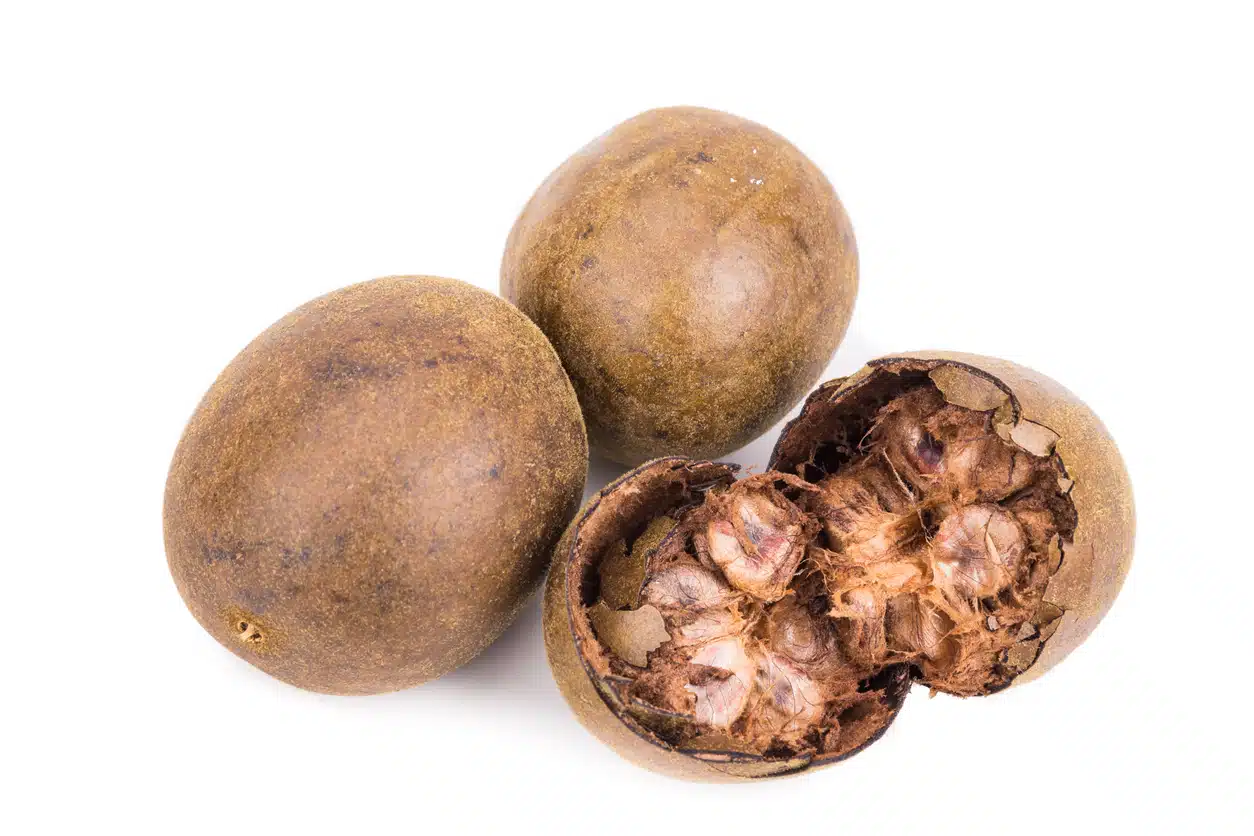 monk fruit 