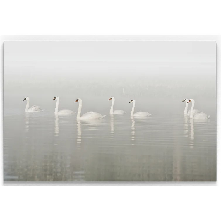 spring products seven swans print