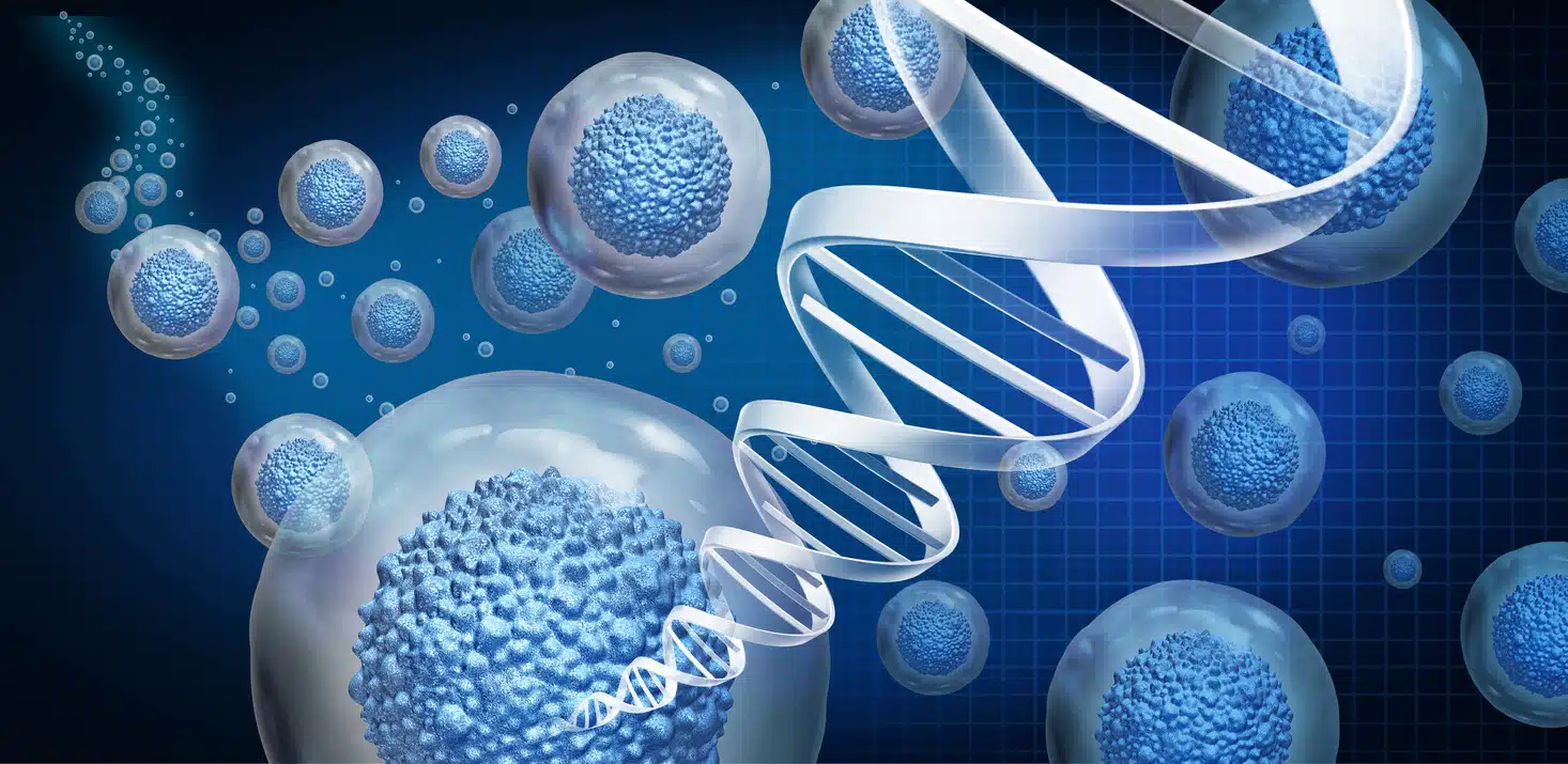 Regenerative Medicine, stem cells, etc.