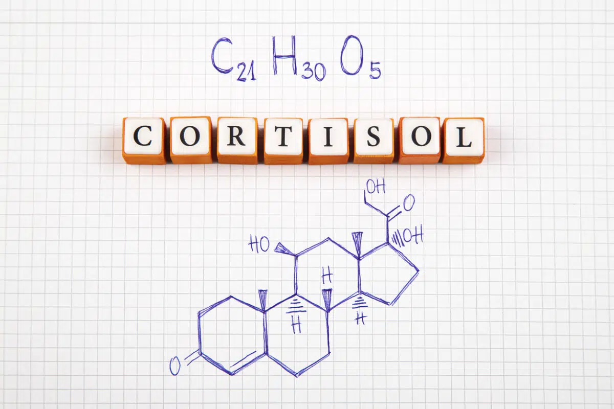 Cortisol