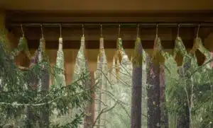 Eco friendly clothing brands