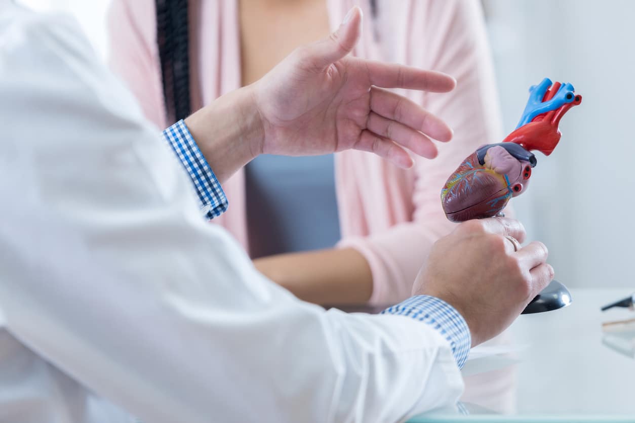 Doctor using a heart model to explain heart health
