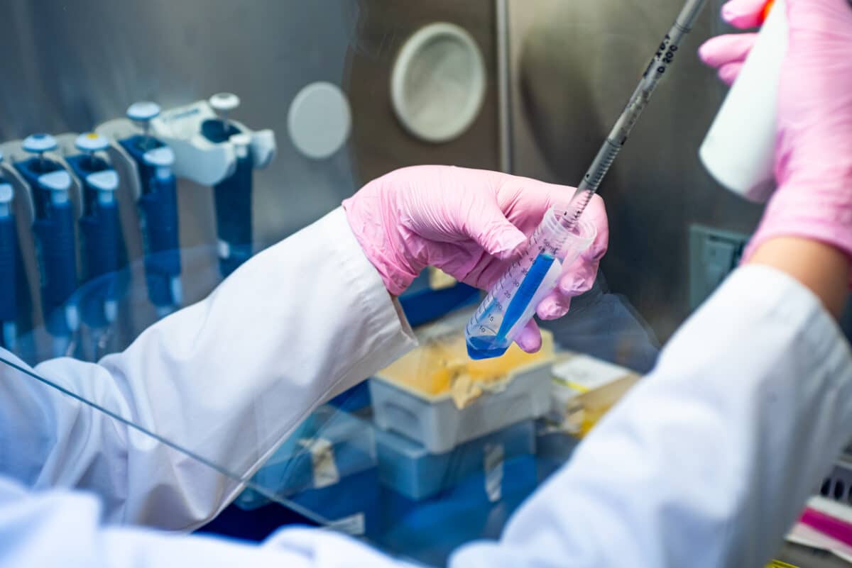 Stem Cell treatment; scientist working