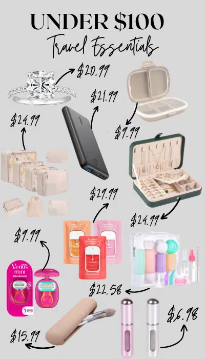 Travel Essentials Under $100