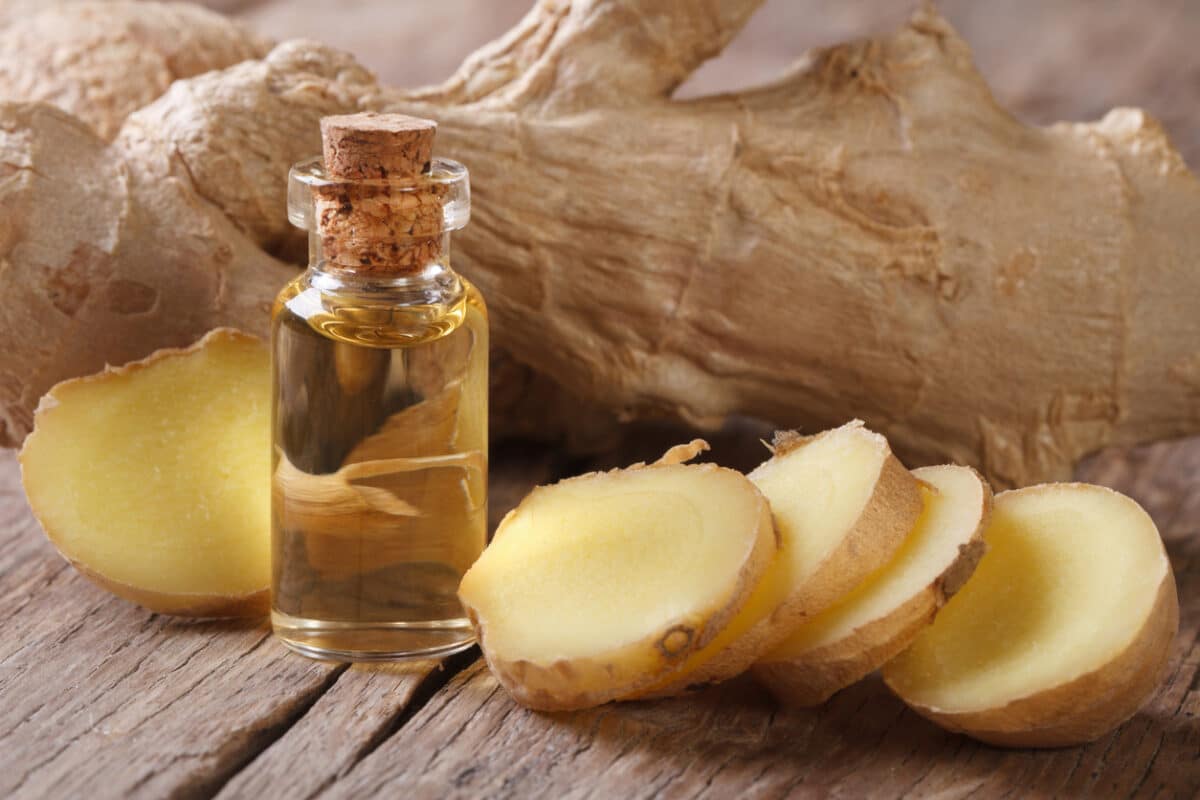Ginger oil