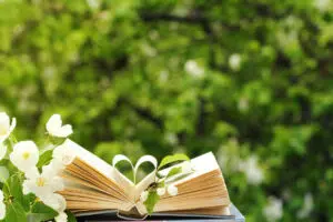 Prime Picks New Book Releases for May