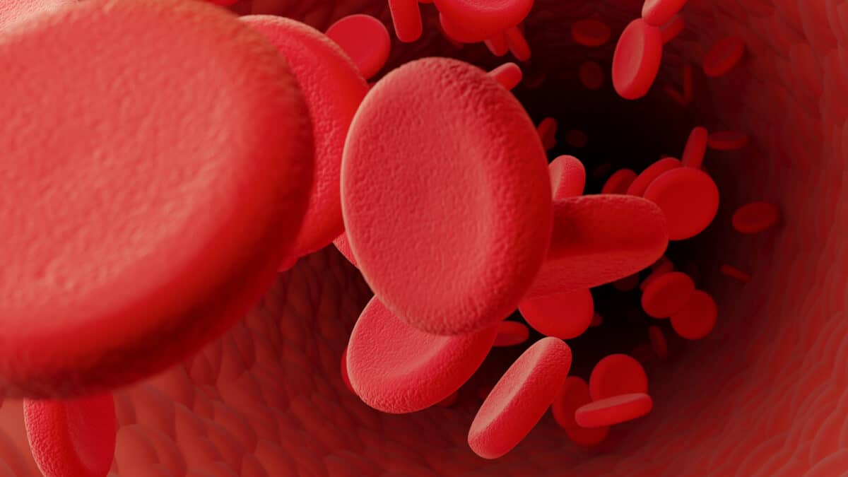 Red Blood Cells