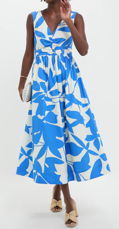 Tuckernuck Hyacinth House Blue & White Floral Carson Maxi Dress, $188