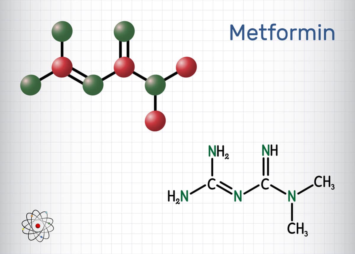 Metformin molecule