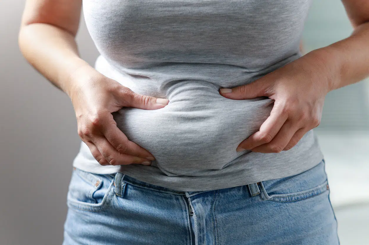 Love handles or muffin top