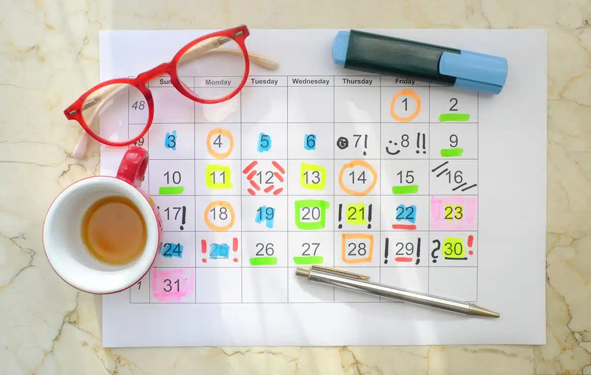 calendar or organizer