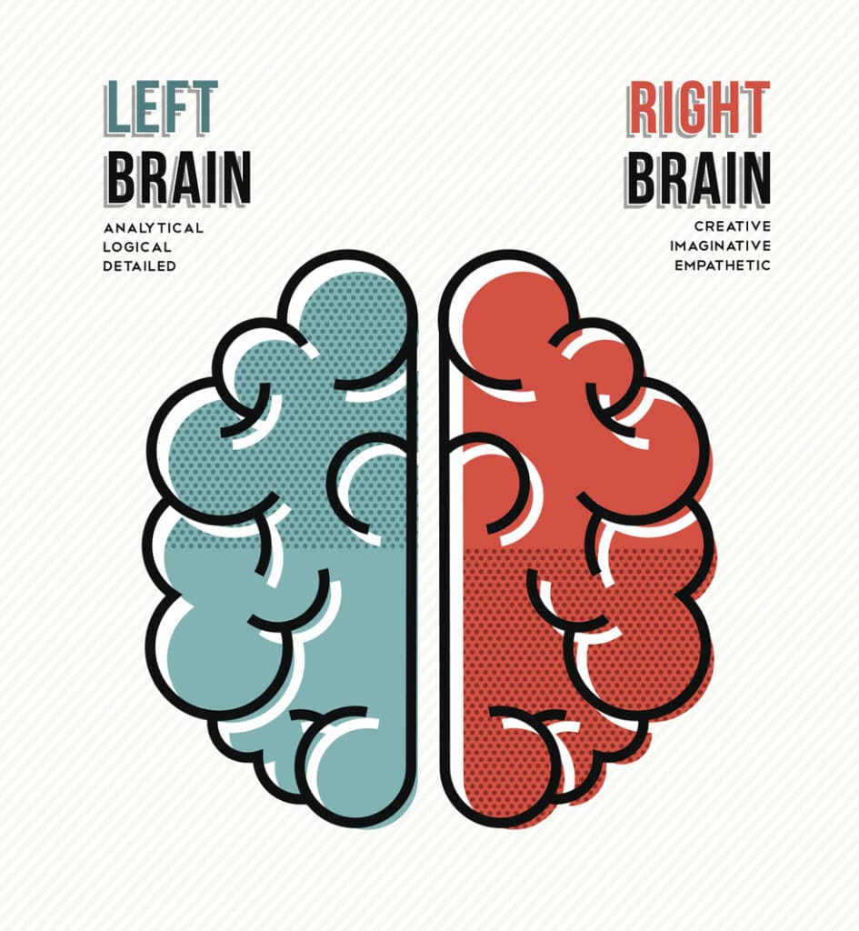 left brain and right brain