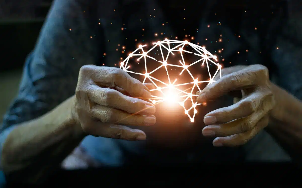 Alzheimers brain network