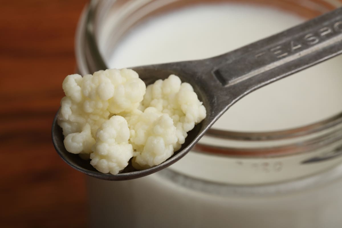 Kefir on a spoon