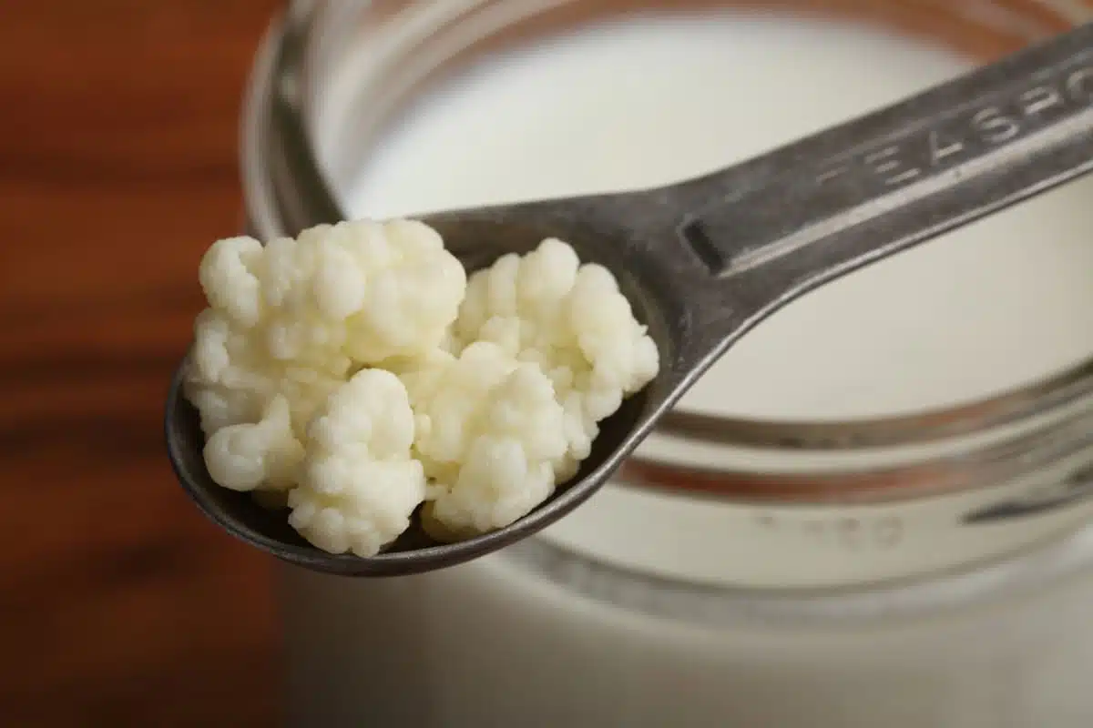 Kefir on a spoon