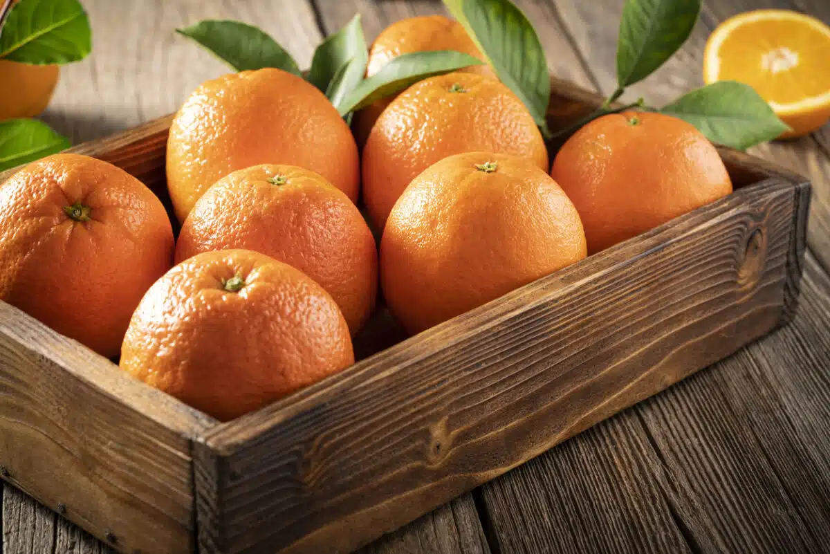 Oranges in a crate