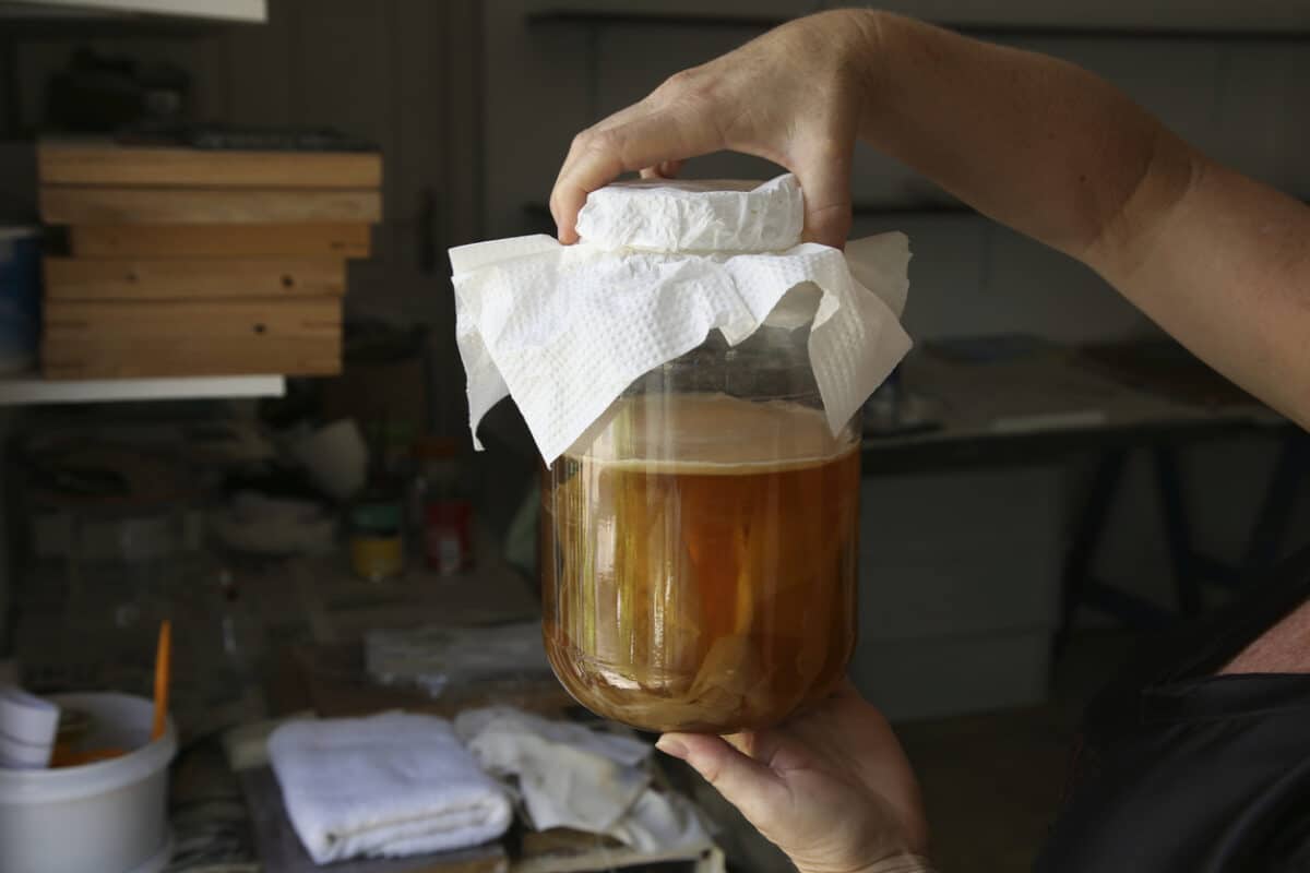Homemade fermented Kombucha tea
