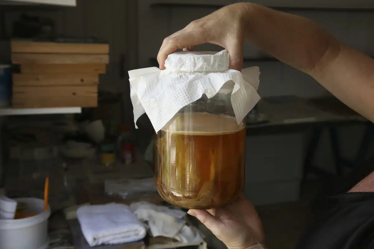 Homemade fermented Kombucha tea