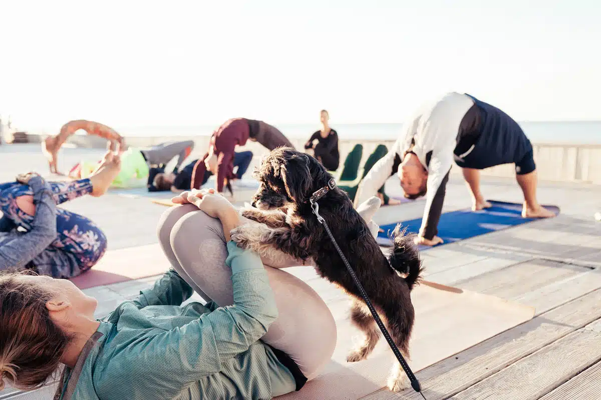 puppy yoga class