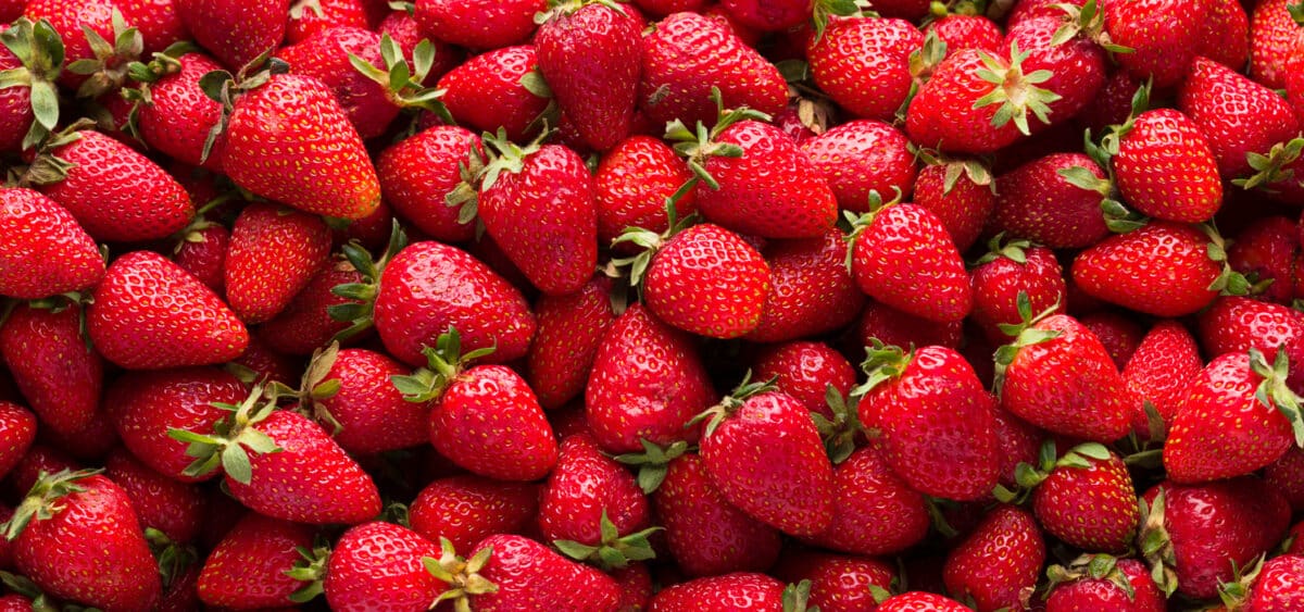 organic strawberries