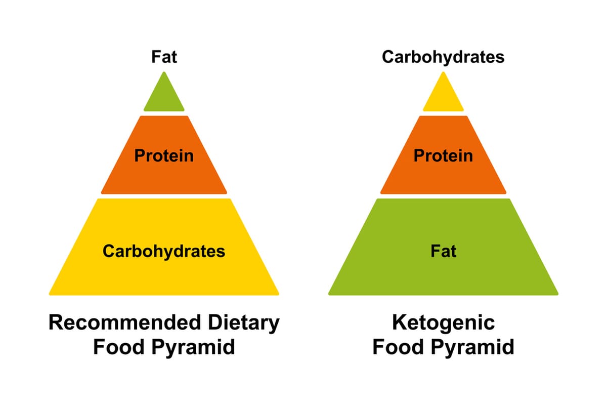 Comparing fats and carbs food pyramids
