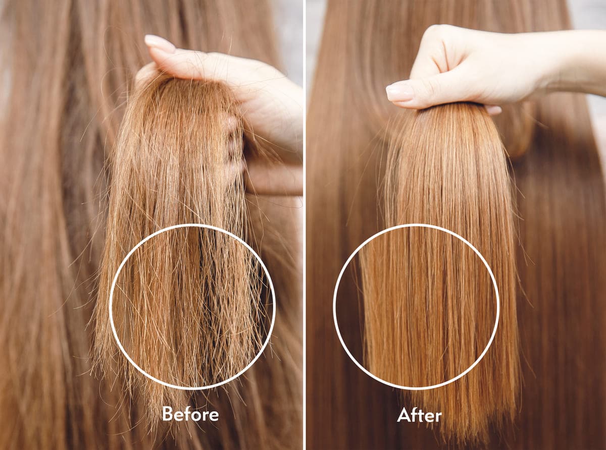 Zuvi Halo Before and After