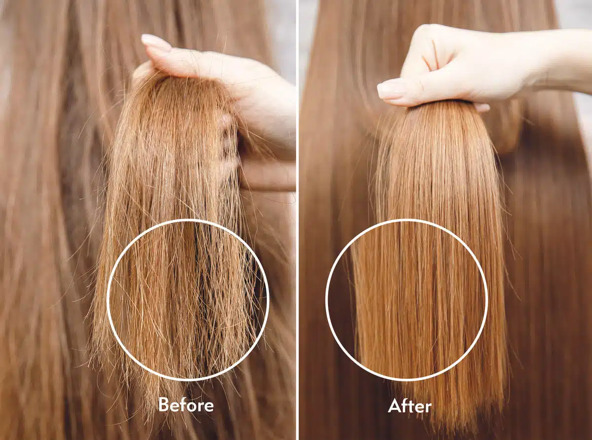 Zuvi Halo Before and After
