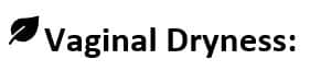 vaginal dryness
