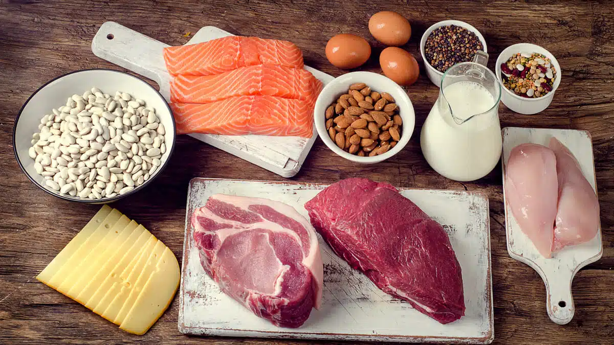 Foods high in Tryptophan