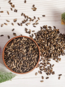 Health Benefits Of Milk Thistle Poster Image