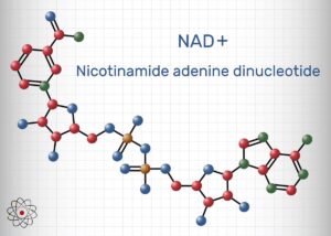 Nicotinamide adenine dinucleotide or NAD+