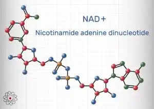 Nicotinamide adenine dinucleotide or NAD+