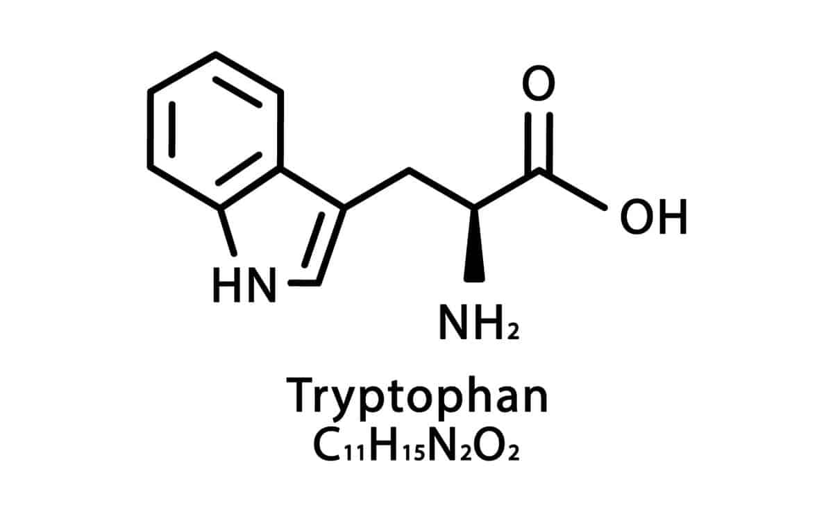 Tryptophan molecule