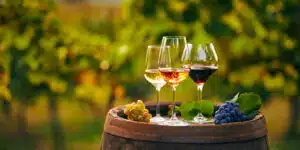 Women-led wineries, glasses of wine, vineyard