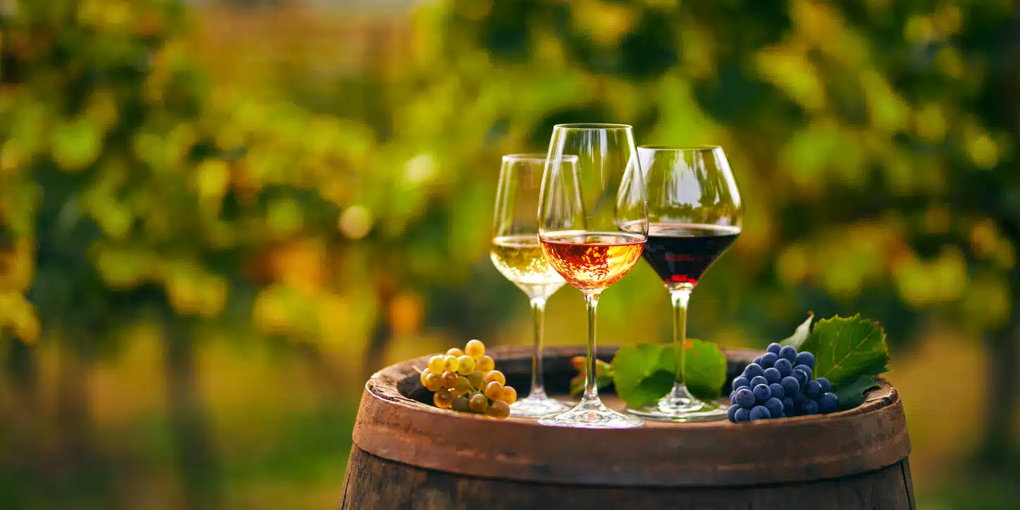 Women-led wineries, glasses of wine, vineyard