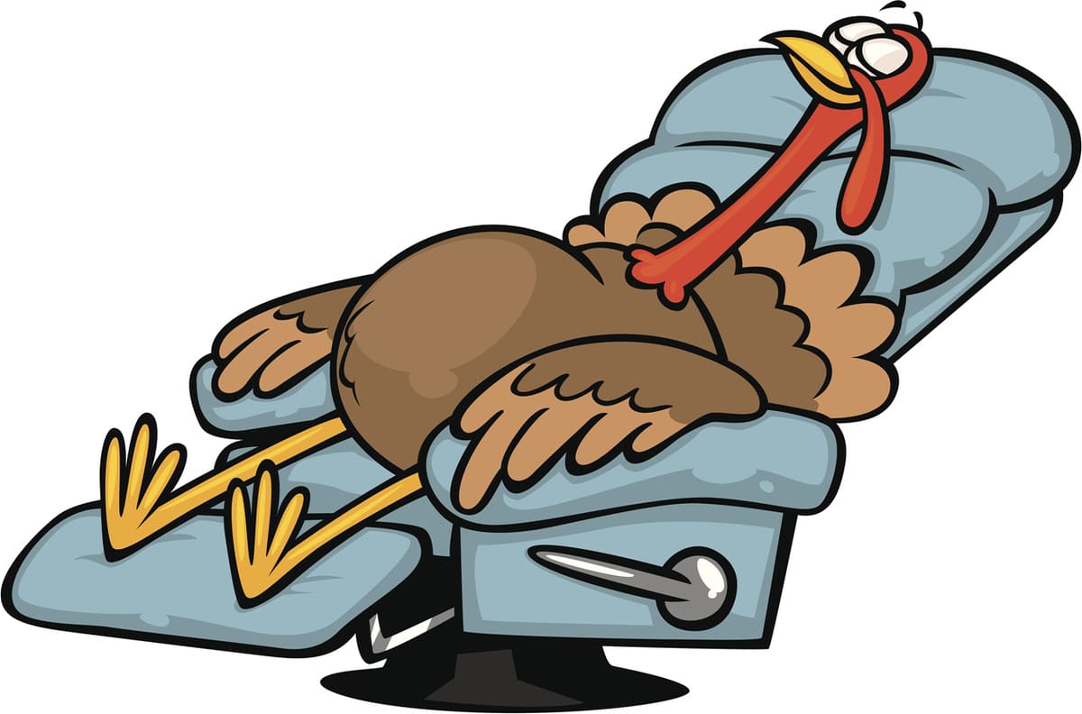 cartoon turkey napping