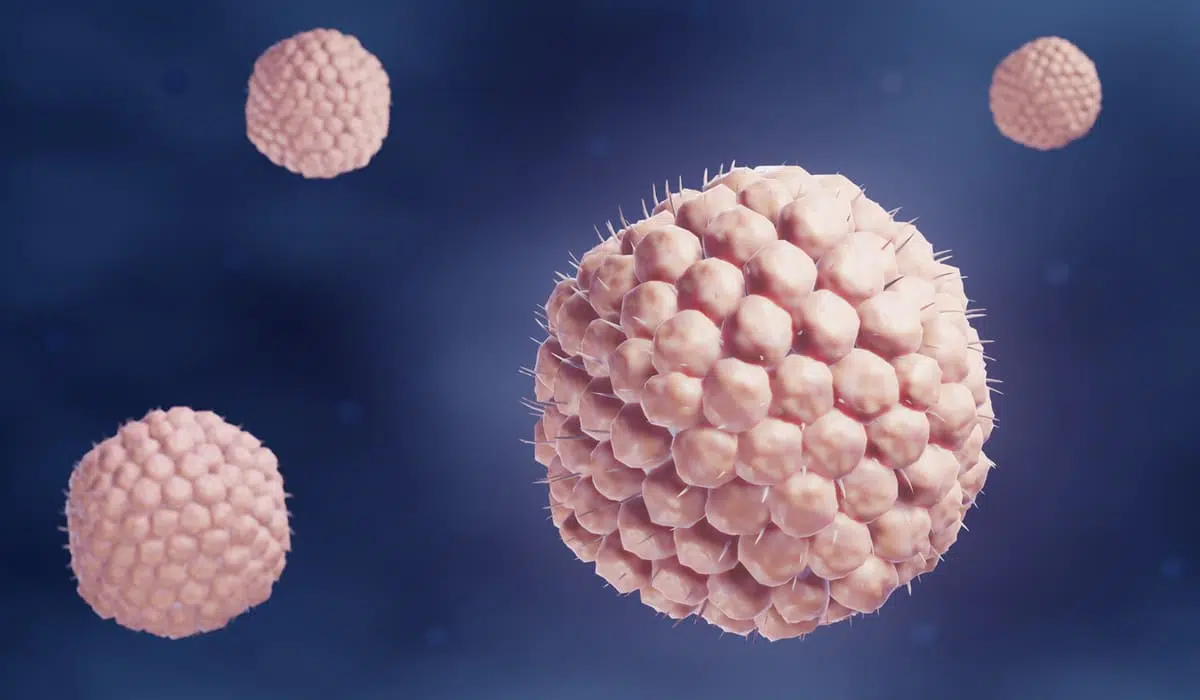 chickenpox and shingles causing virus varicella zoster