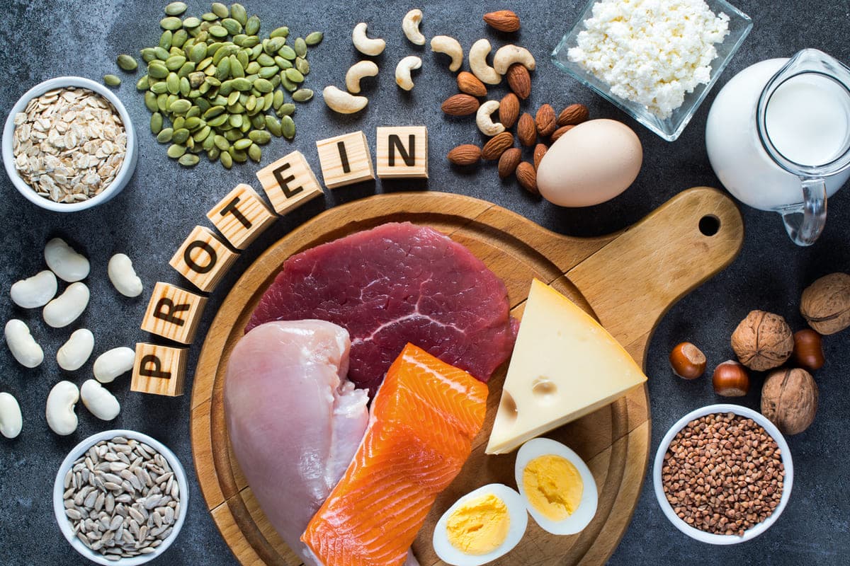 protein - food and representation