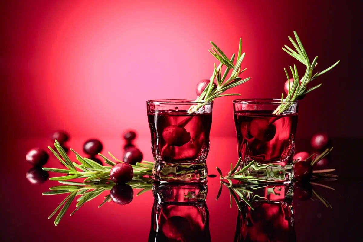 Cranberry Rosemary Gin Fizz