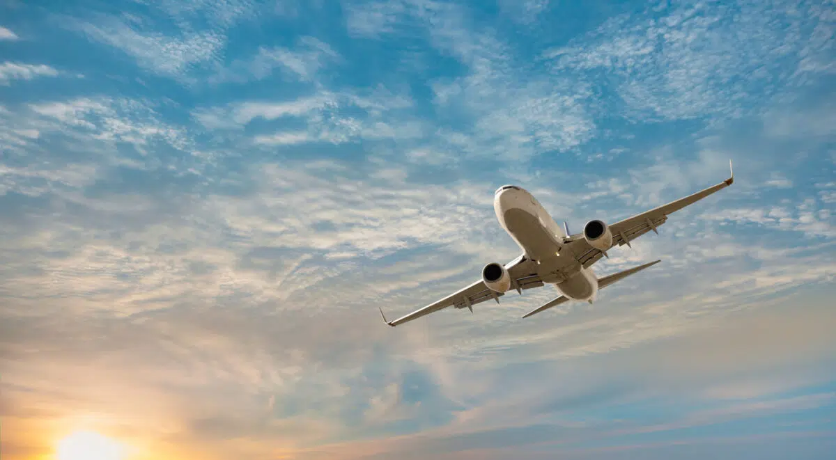 Costco travel, airplane, vacation